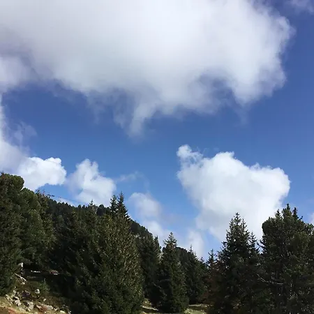 Pied Des Pistes, Animaux Admis - Fr-1-340-3 Lejlighed *