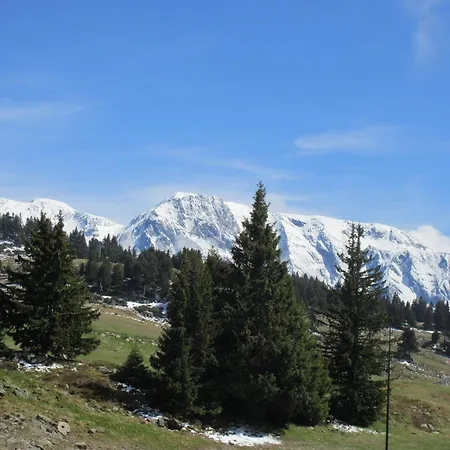 Pied Des Pistes, Animaux Admis - Fr-1-340-3 Lejlighed Chamrousse