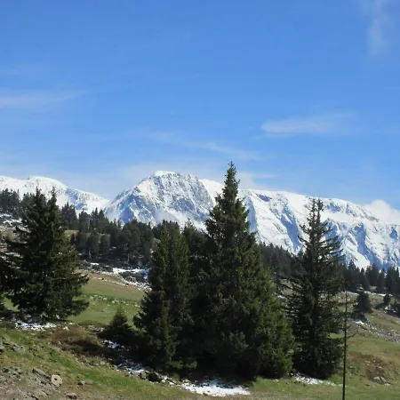 Les Carlines * Chamrousse